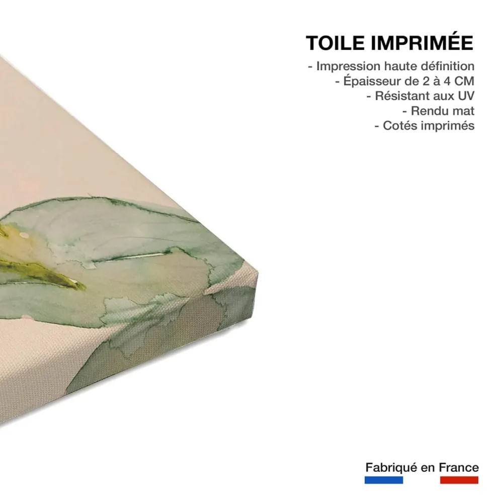 Illustration numéro 3 du produit Tableau et peinture de fleurs palm pivoine  imprimé sur toile 60x90 cm