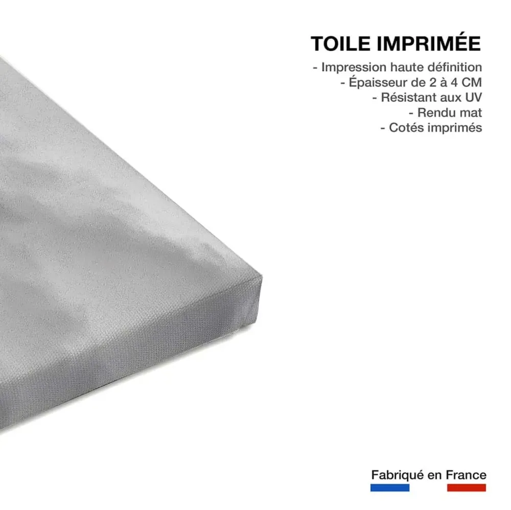 Illustration numéro 3 du produit Tableau montagne summit  imprimé sur toile 90x60 cm