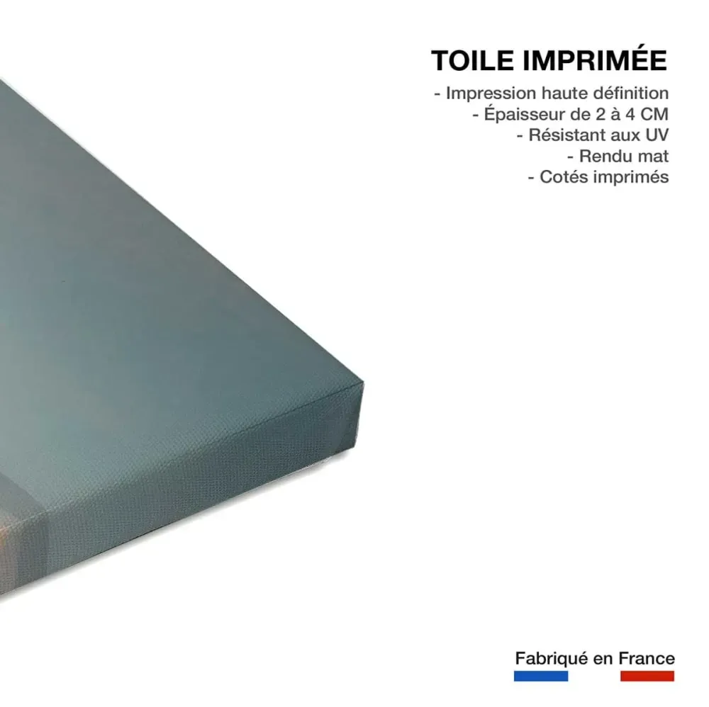 Illustration numéro 3 du produit Tableau d'été le grand canyon dawn et dusk  imprimé sur toile 90x60 cm