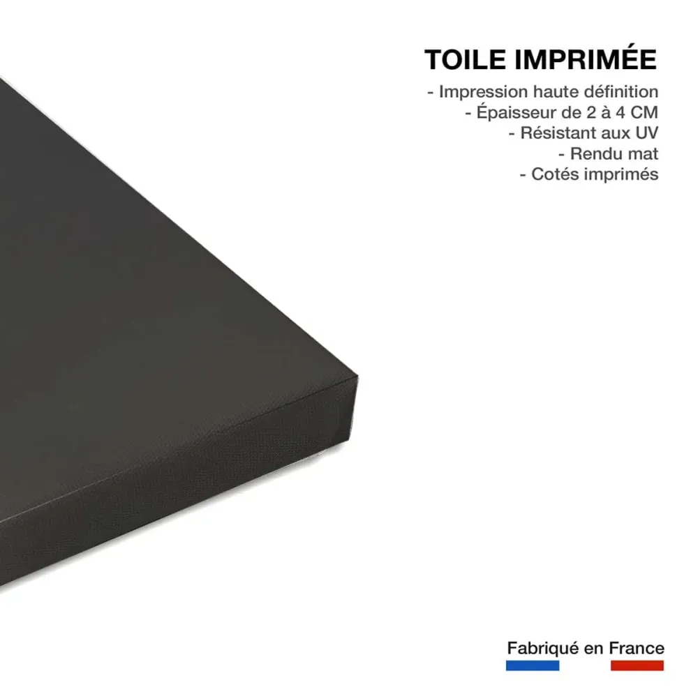 Illustration numéro 3 du produit Tableau fleurs magnolia  imprimé sur toile 90x60 cm