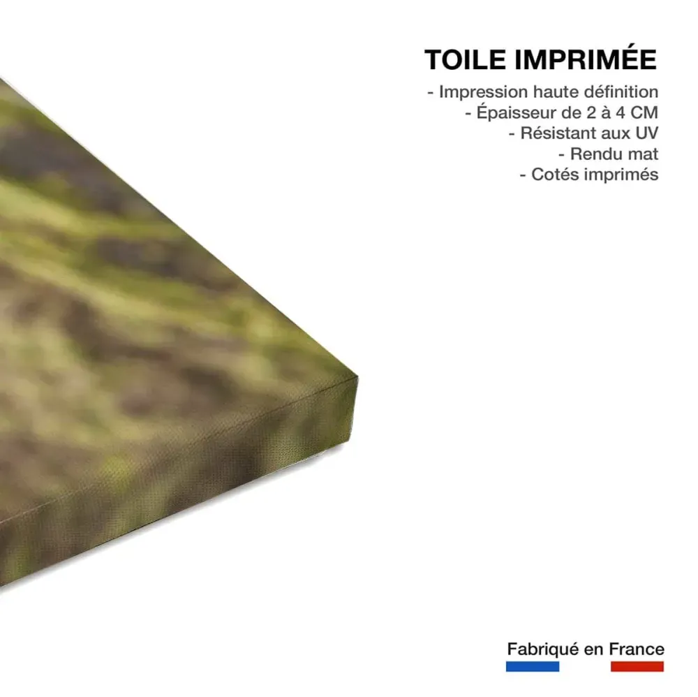 Illustration numéro 3 du produit Tableau animaux renard  imprimé sur toile 90x60 cm