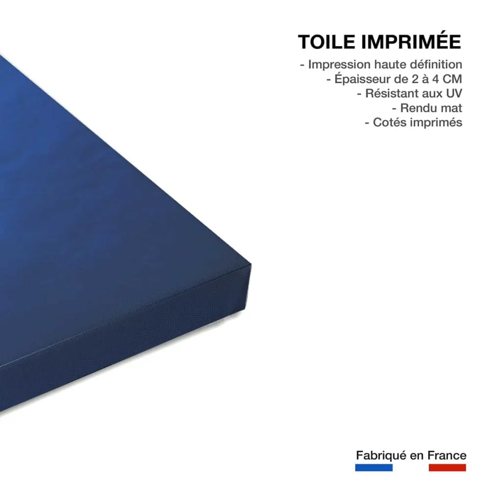 Illustration numéro 3 du produit Tableau animaux marins raie manta imprimé sur toile 60x90 cm