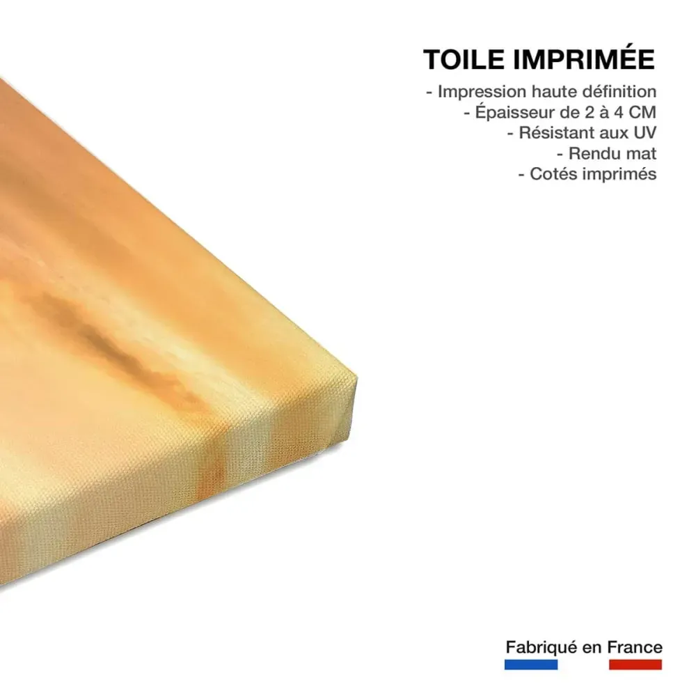 Illustration numéro 3 du produit Tableau paysage nature chemin des basques  imprimé sur toile 90x60 cm