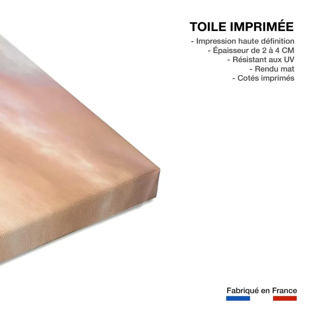 Illustration numéro 3 du produit Paysage nature montgolfière en cappadoce  imprimé sur toile 90x60 cm