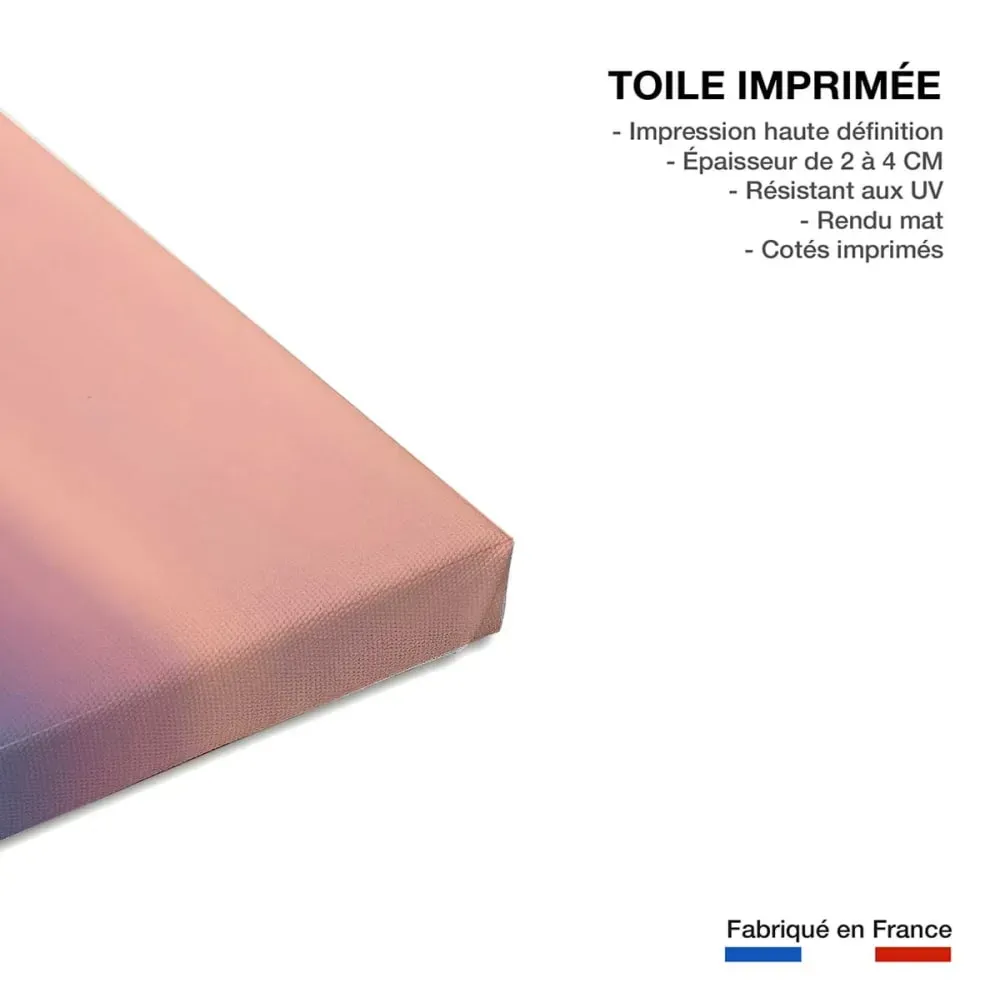 Illustration numéro 3 du produit Tableau pays basque euskadi  imprimé sur toile 90x60 cm