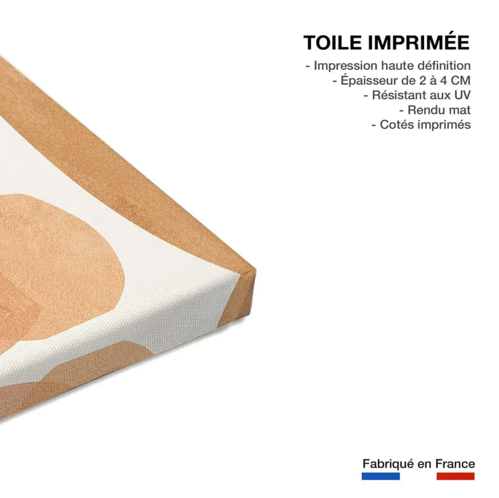 Illustration numéro 3 du produit Tableau organique poterie et botanique  imprimé sur toile 60x90 cm