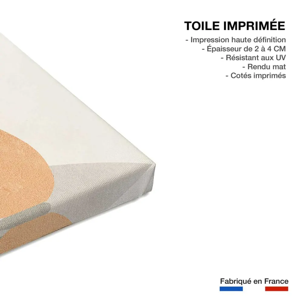 Illustration numéro 3 du produit Tableau organique vase et minimalisme  imprimé sur toile 60x90 cm