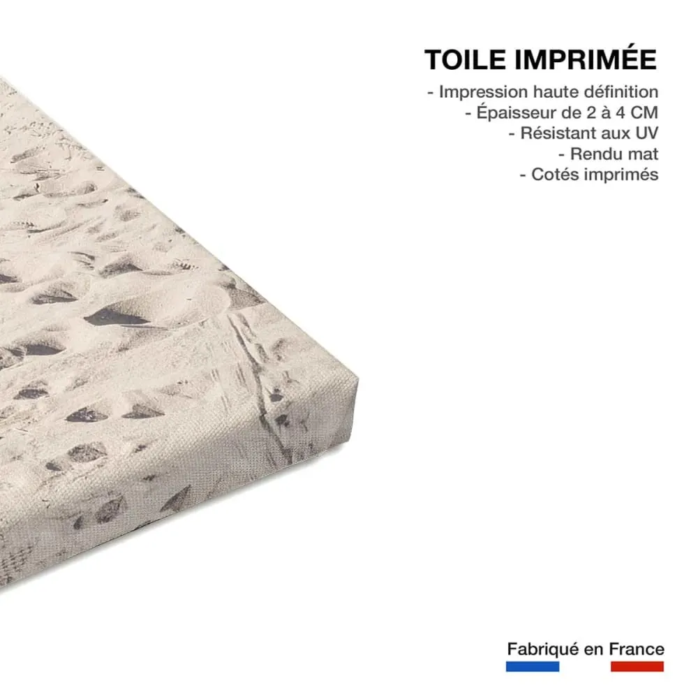 Illustration numéro 3 du produit Tableau mer chemin de sable  imprimé sur toile 60x90 cm