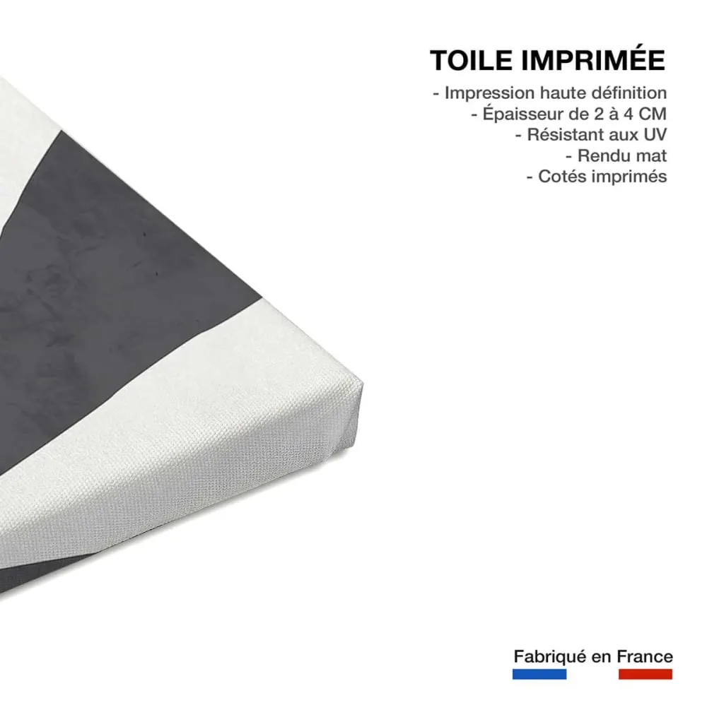 Illustration numéro 3 du produit Tableau organique archive  imprimé sur toile 60x90 cm