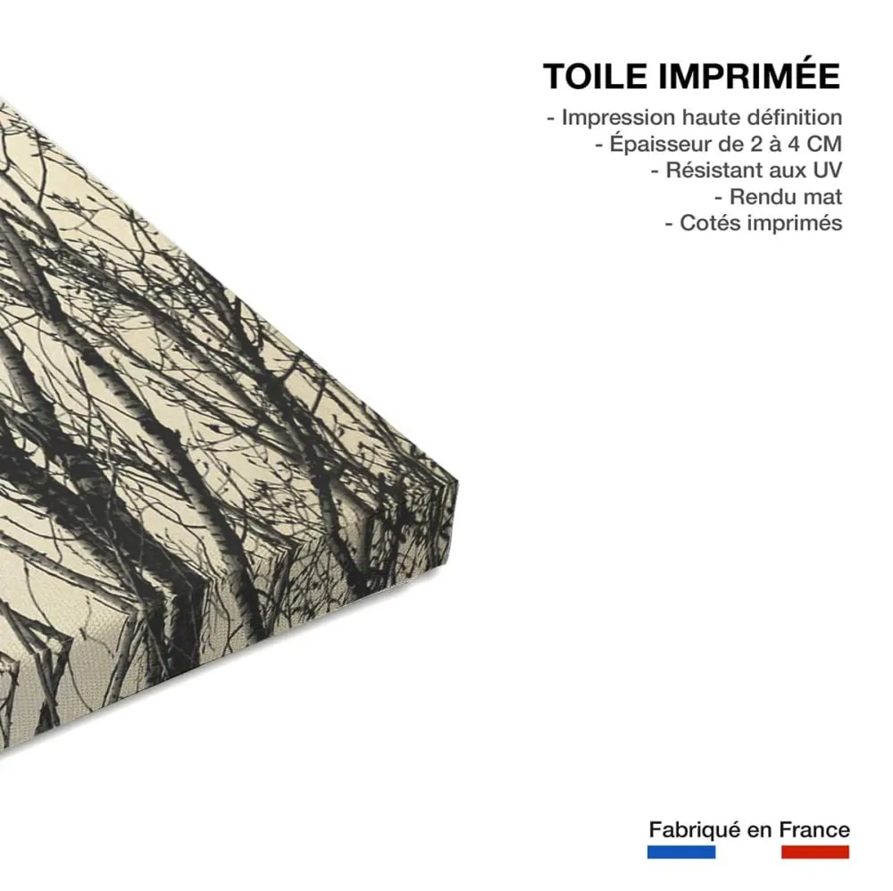 Illustration numéro 3 du produit Tableau astronomie lueur hivernale  imprimé sur toile 60x90 cm
