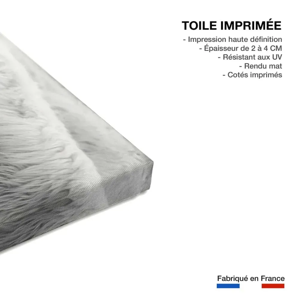 Illustration numéro 3 du produit Tableau paysage chien de berger  imprimé sur toile 90x60 cm