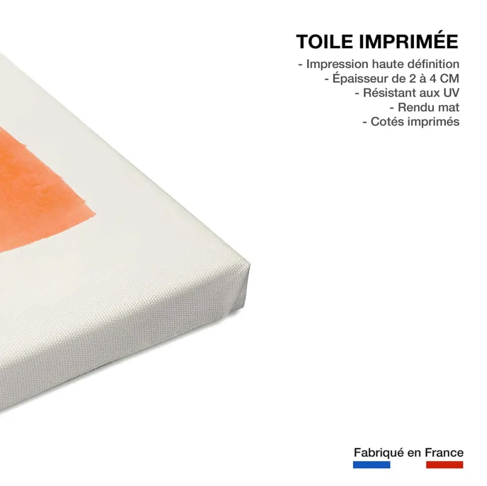 Illustration numéro 3 du produit Tableau art abstrait mid century orange  imprimé sur toile 60x90 cm