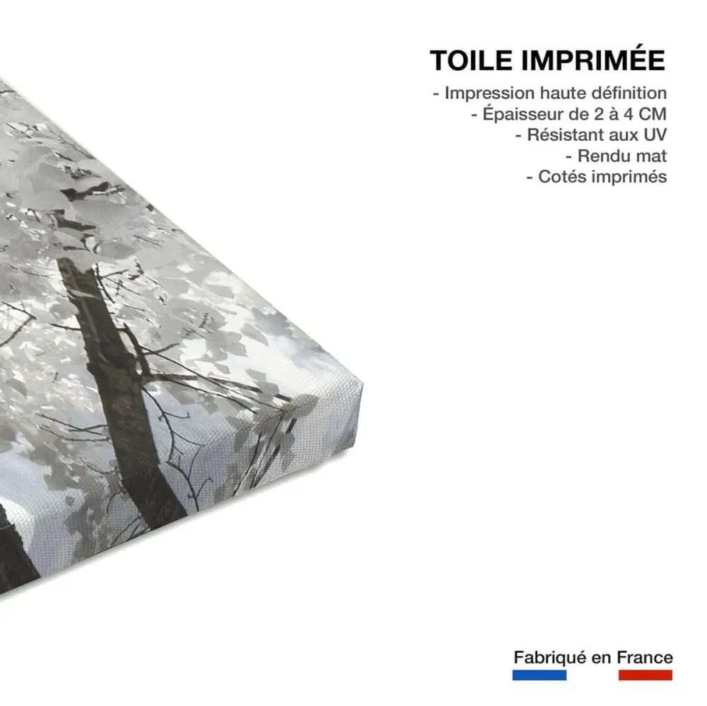 Illustration numéro 3 du produit Tableau paris tour eiffel blanche  imprimé sur toile 90x60 cm