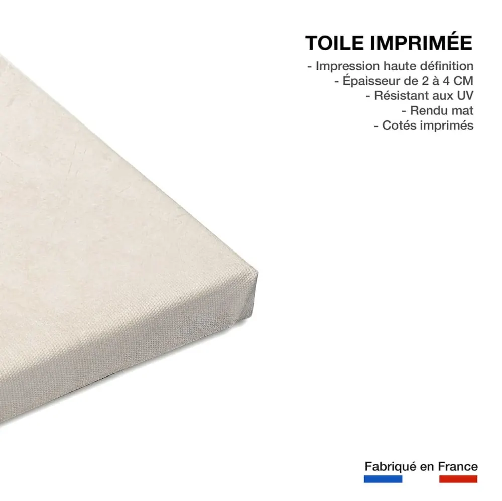 Illustration numéro 3 du produit Tableau organique lévitation  imprimé sur toile 60x90 cm