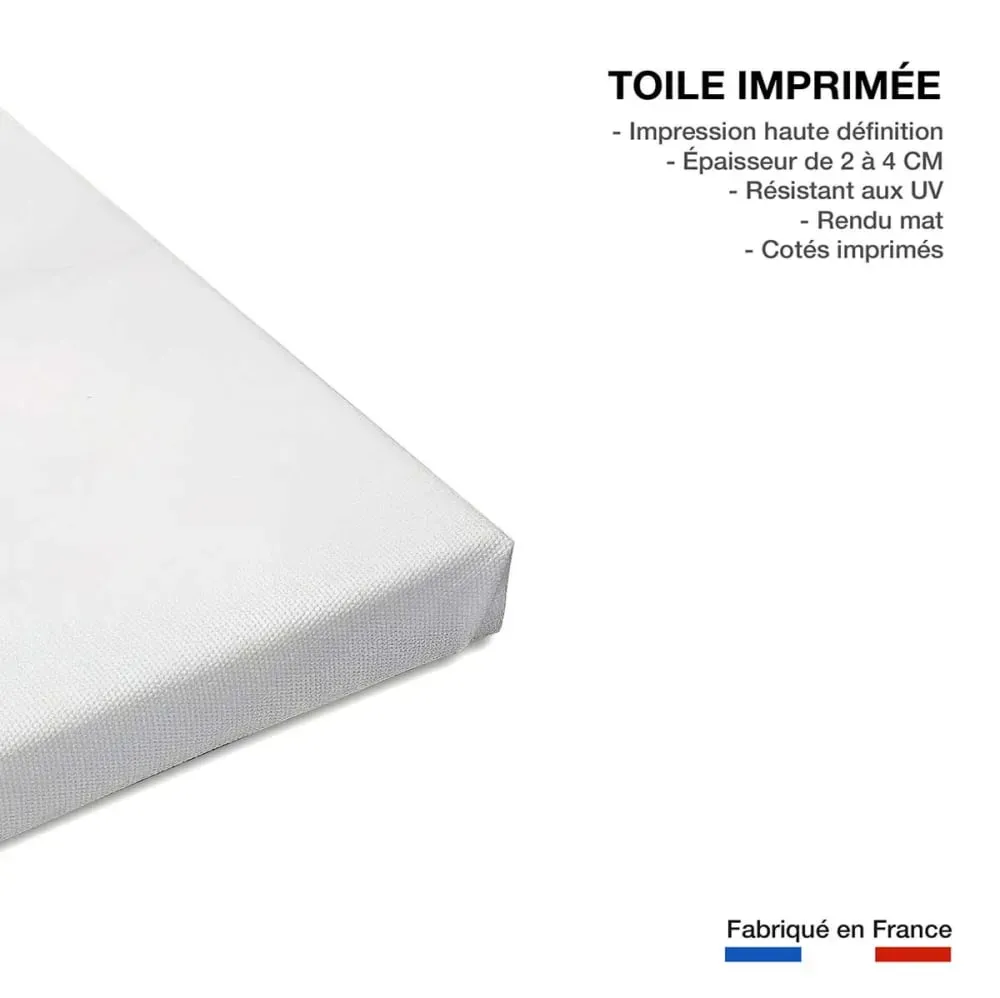 Illustration numéro 3 du produit Tableau fleurs serenity  imprimé sur toile 90x60 cm