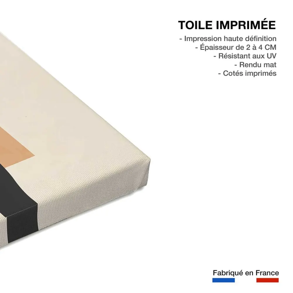 Illustration numéro 3 du produit Tableau contemporain fleurs sidi  imprimé sur toile 60x90 cm