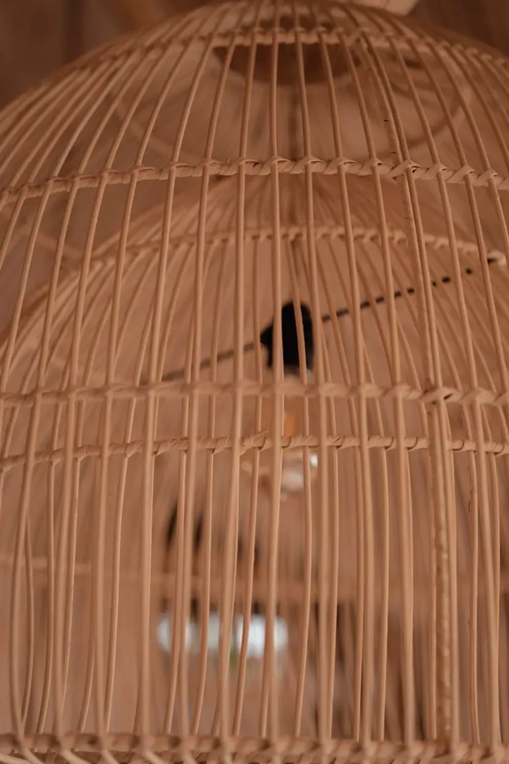 Illustration numéro 3 du produit Suspension Rotin Marron 82x82x84cm