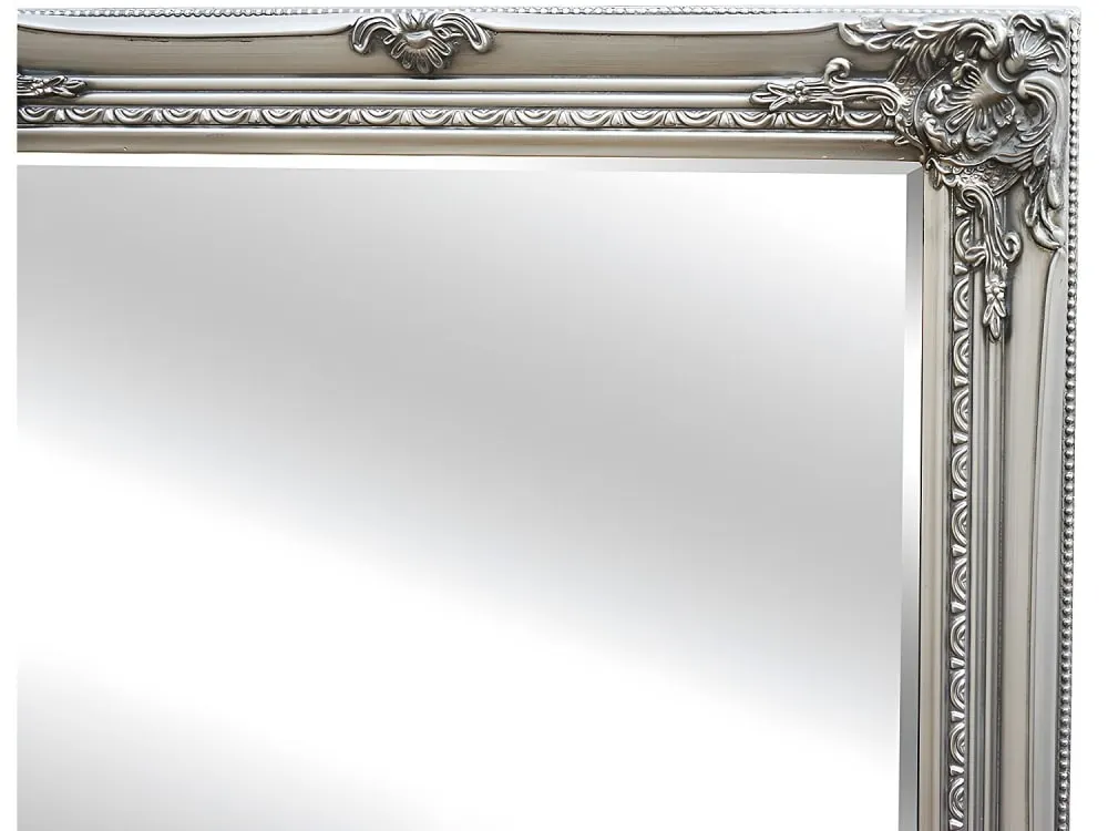 Illustration numéro 3 du produit Miroir mural eucalyptus argenté