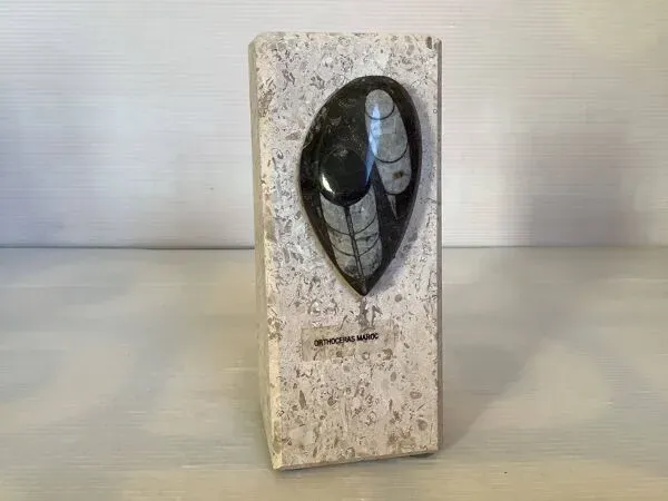 Illustration numéro 3 du produit Un serre livres en travertin et fossile asymétrique