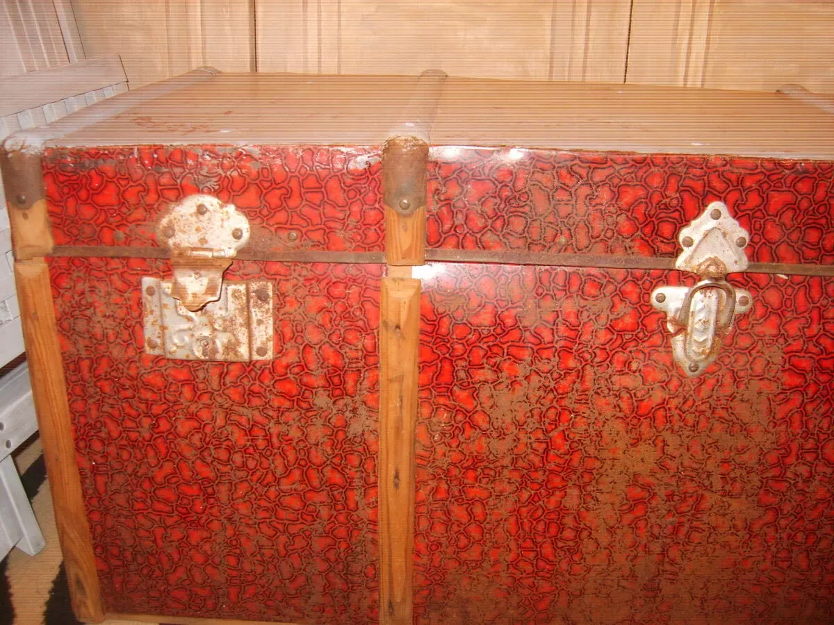 Illustration numéro 3 du produit Malle du Portugal