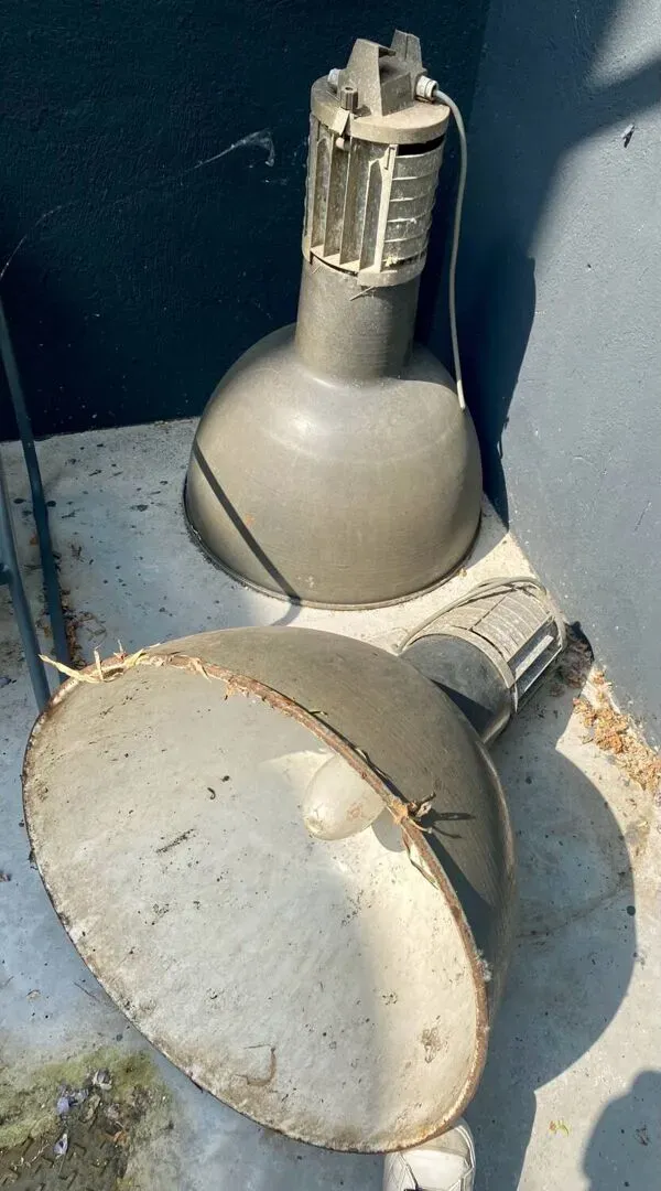 Illustration numéro 3 du produit Lampes industrielles