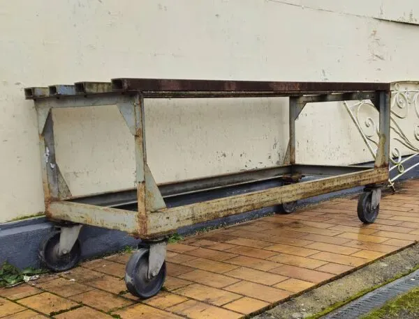 Illustration numéro 3 du produit Table / établi industriel en métal sur roulettes, milieu XXᵉ siècle