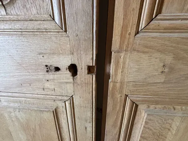 Illustration numéro 3 du produit Double porte en chêne massif