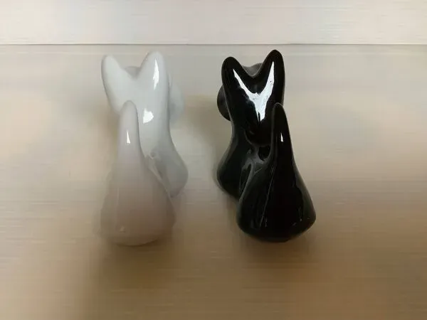 Illustration numéro 3 du produit Sel et poivre chiens black and White