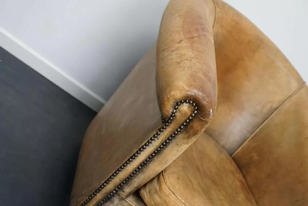 Illustration numéro 3 du produit Vintage club chair in cognac-coloured leather Netherlands