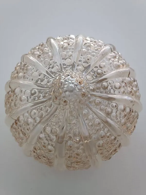 Illustration numéro 3 du produit Suite d'appliques Bubble par Helena Tynell pour G. Limburg 1970s