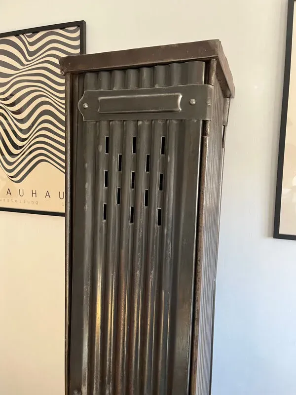 Illustration numéro 3 du produit Ancien vestiaire Strafor 1 porte vintage industriel