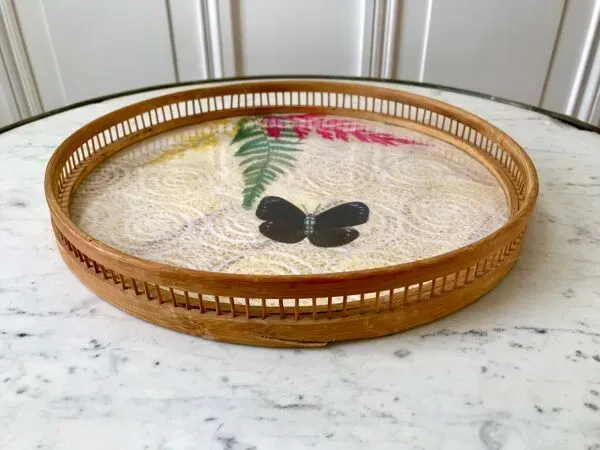 Illustration numéro 3 du produit plateau en rotin et papillon en taxydermie années 60-70