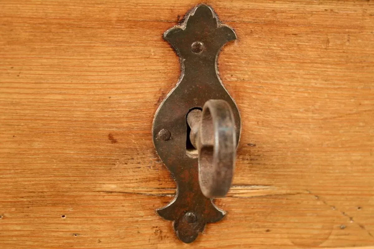 Illustration numéro 3 du produit Coffre en sapin