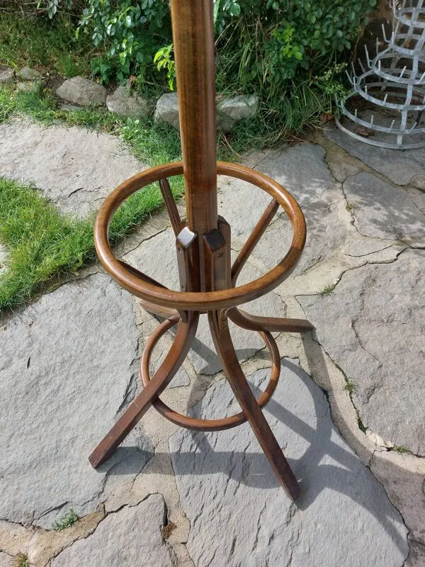 Illustration numéro 3 du produit portemanteau perroquet, en bois de teinte foncée