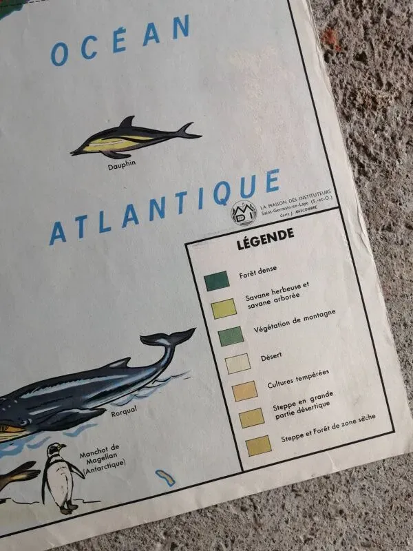 Illustration numéro 3 du produit Carte scolaire MDI : AMÉRIQUE DU SUD- OCÉANIE faune végétation.