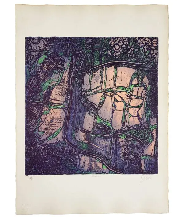 Illustration numéro 3 du produit Lithographie de Joelle SERVE ''Amalgame''signée