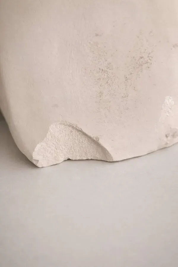 Illustration numéro 3 du produit Buste en plâtre de Beethoven signé A. Santini, 1928