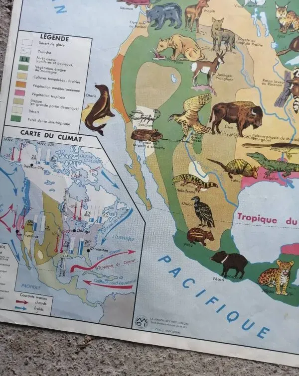 Illustration numéro 3 du produit Carte scolaire vintage mdi Amérique du Nord-Asie Faune