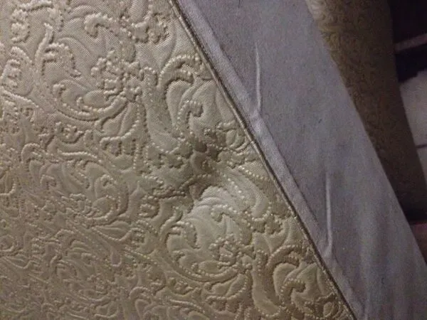 Illustration numéro 3 du produit Rare fauteuil club slezak en noyer massif époque art déco