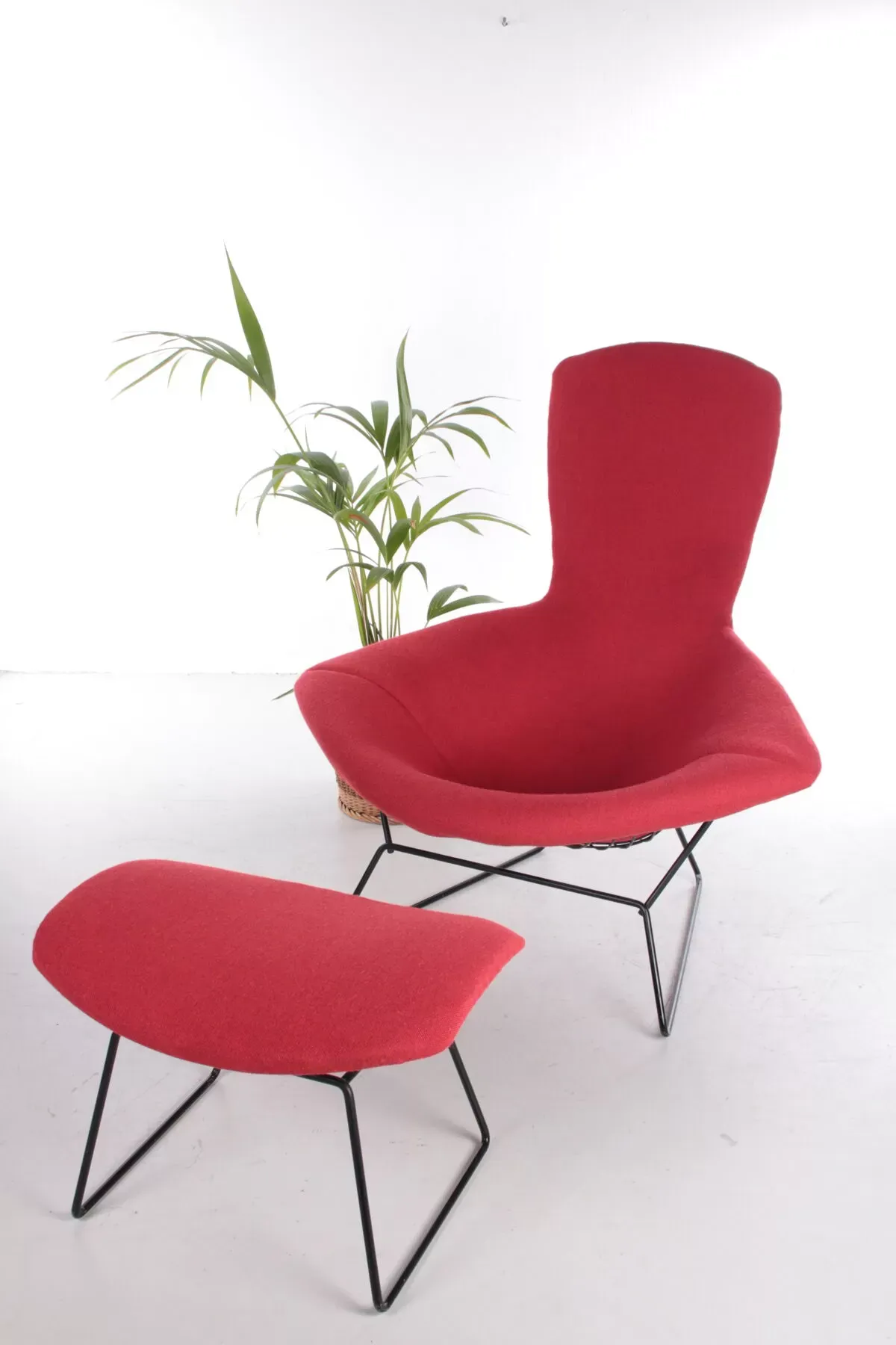 Illustration numéro 3 du produit Fauteuil avec pouf modèle Bird  Harry bertoia pour Knoll, années 1980