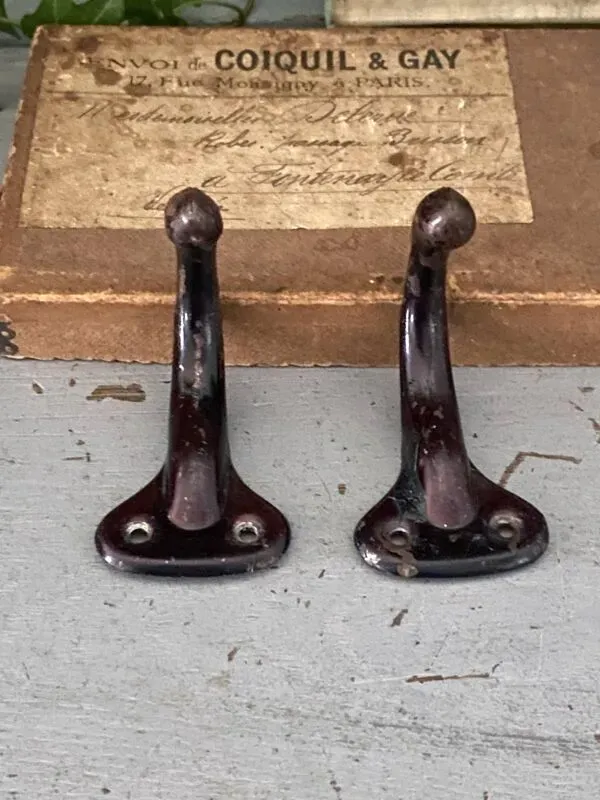 Illustration numéro 3 du produit Paire de crochets métalliques