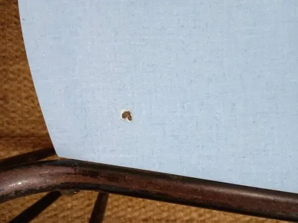 Illustration numéro 3 du produit 8 chaises de cantine formica rouge jaune bleu tubulure métal années 50-60