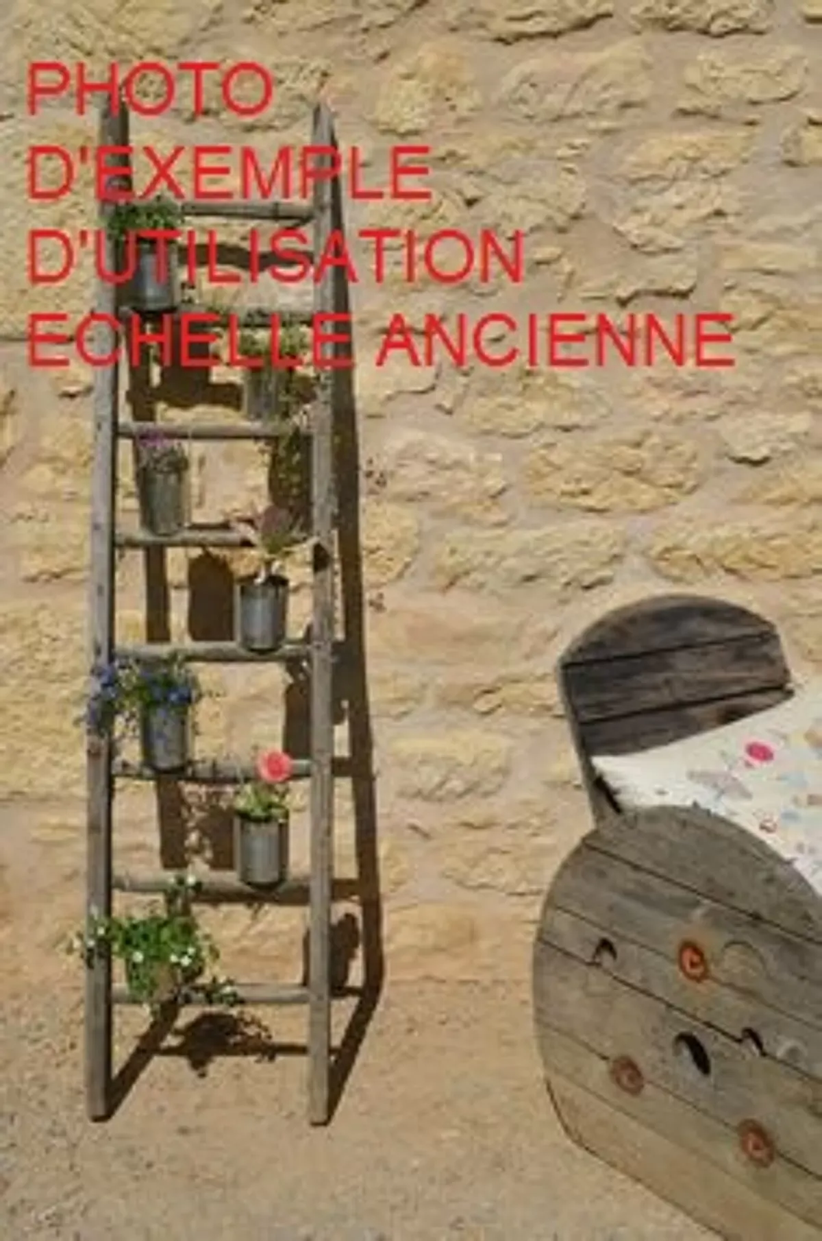 Illustration numéro 3 du produit Echelle de cueillette en bois vintage 7 barreaux