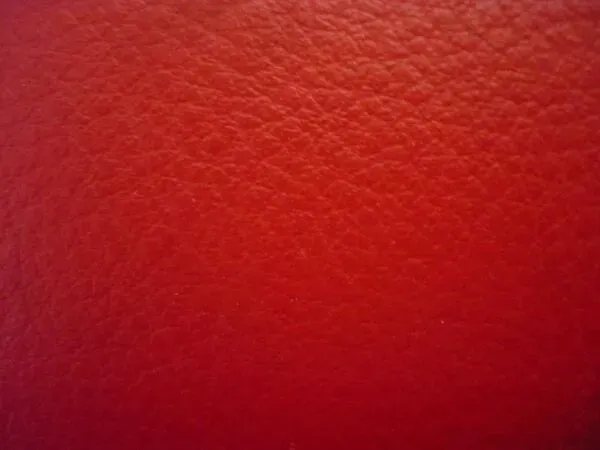 Illustration numéro 3 du produit Fauteuil  duvivier