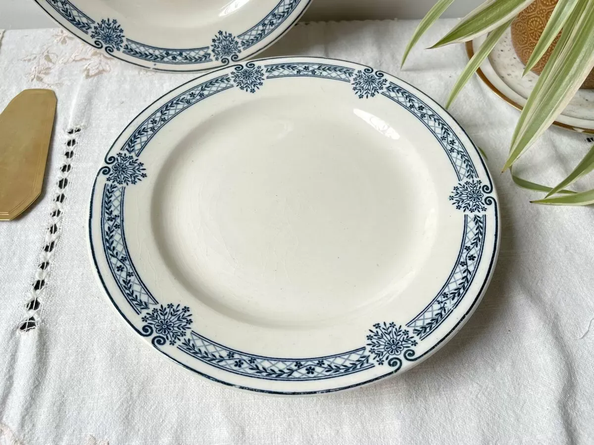 Illustration numéro 3 du produit Plat piédouche vintage Terre de fer bleue Salins modèle Arbois Ennege