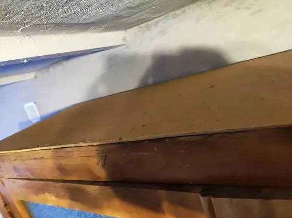 Illustration numéro 3 du produit Armoire d'école vitrée, années 50