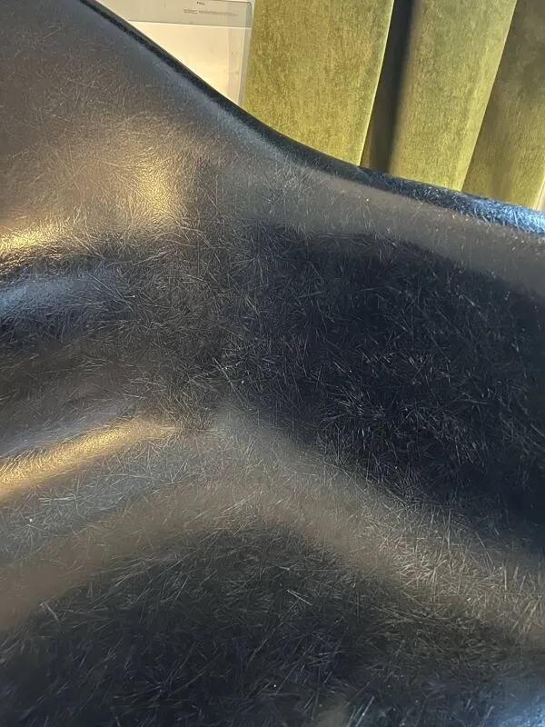 Illustration numéro 3 du produit Chaise Eames RAR