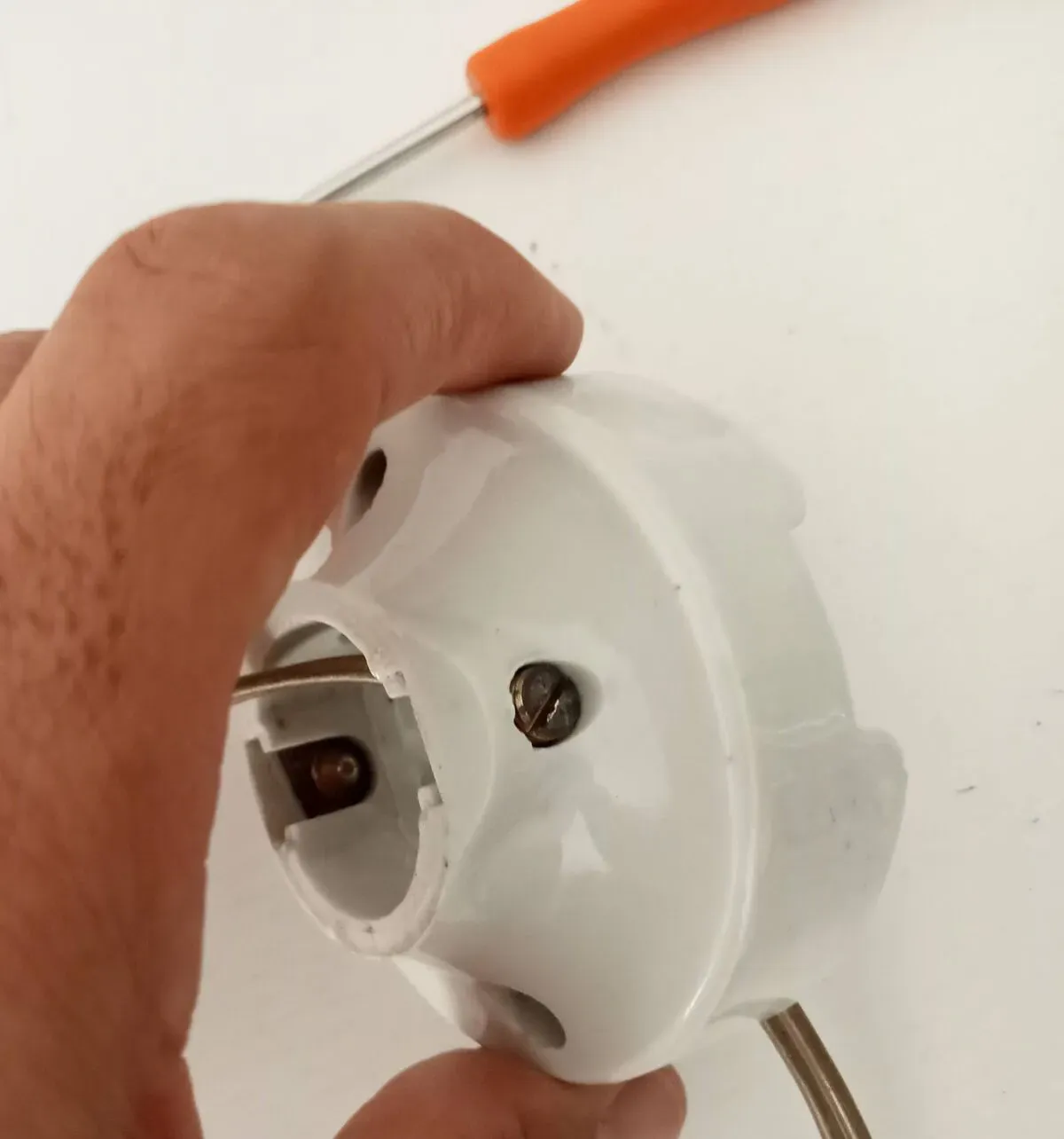 Illustration numéro 3 du produit Paire d' appliques indus anciennes en porcelaine