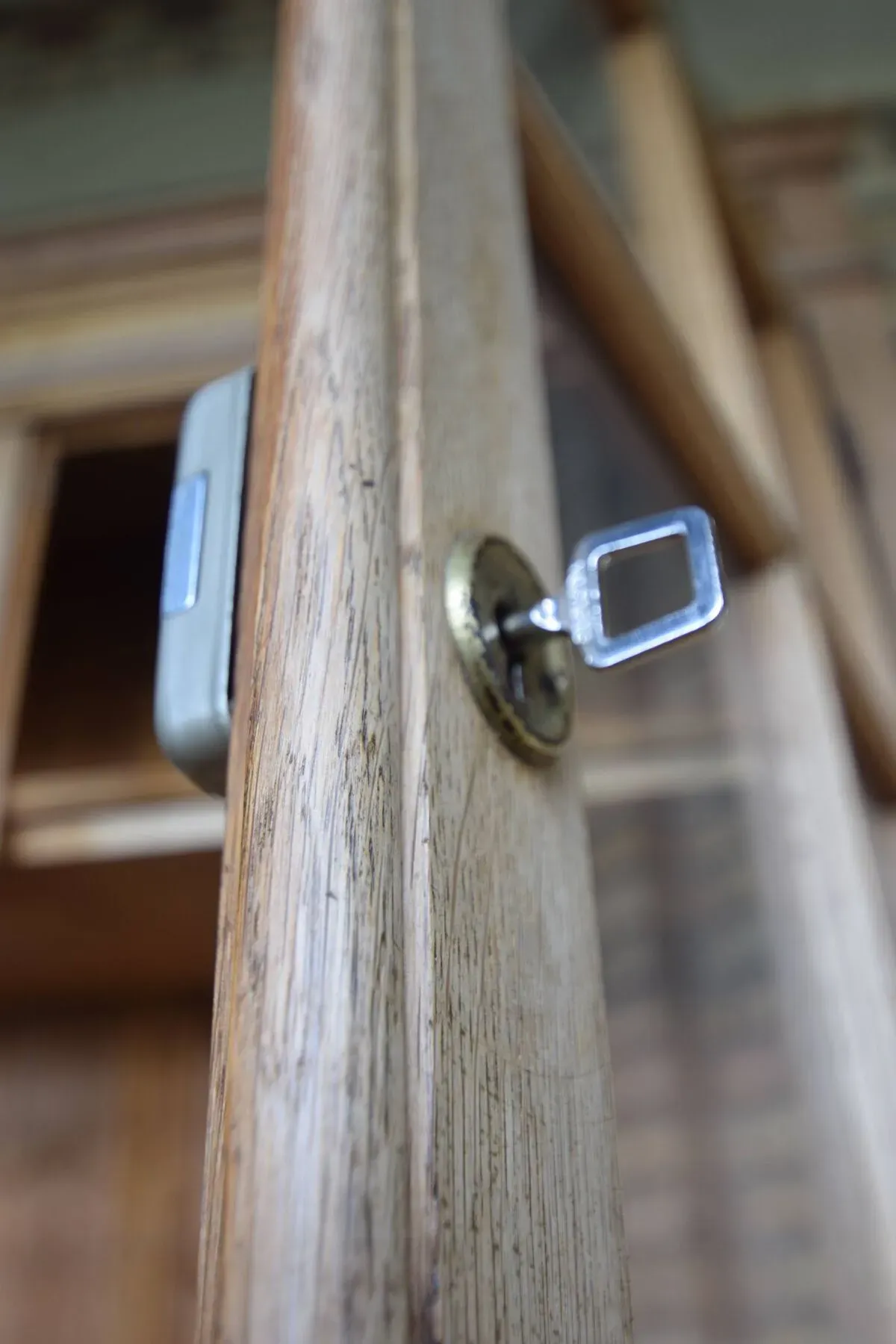 Illustration numéro 3 du produit Bibliothèque vitrée d'école de médecine en chêne massif 1950'