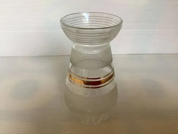 Illustration numéro 3 du produit Ancien vase à bulbe de jacinthe